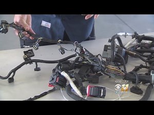 Critters Costing North Texans Thousands In Car Repairs