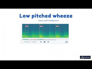 Lung sounds - low pitched wheeze