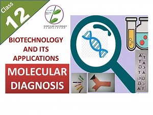 PCR, Autoradiography, ELISA