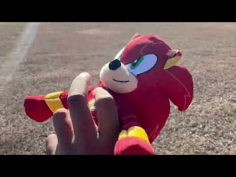 Sonic vs Flash sonic