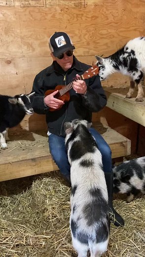 A goat song by a Tom for a Tom Tom Brady Tom Jones | Kevin Bacon