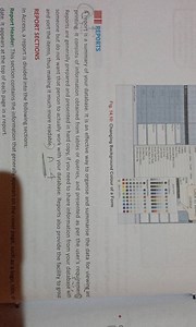 Fig. 14.10: Changing Background Colour of a Form REPORTS A repo... | Filo