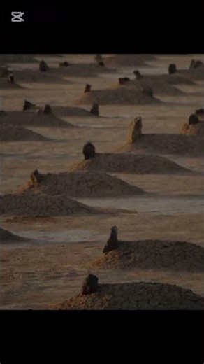 #😱allah #ne#hame#namaj q#di or wo#kam#kab#aaegi#dosto#namaj#1abar me#ek#dhal#manjaegi#