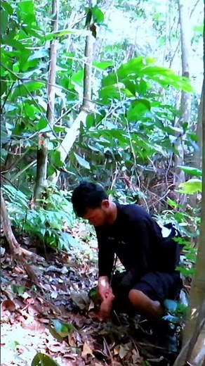 Gak nyangka di lokasi sarang burung dapat ayam, Ngebolang #86 #jejakbudakabrag