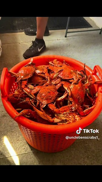 Large Male Blue Claw Crabs Available Today in South Philly