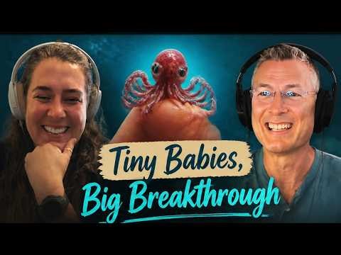 The Hidden Life Cycle of the Red Octopus Uncovered