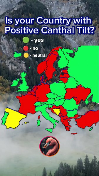 Flamingo Maps (@flamingo_maps)’s videos with