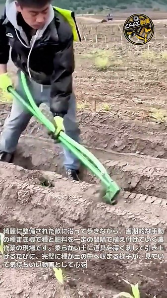 土の中に種がスッと収まる不思議な快感！画期的な手動ツールで完成するスッキリした種まきのサティスファイング動画 #見ていて気持ちいい動画 #癒やし #農業技術 #アイデア農具 #種まき