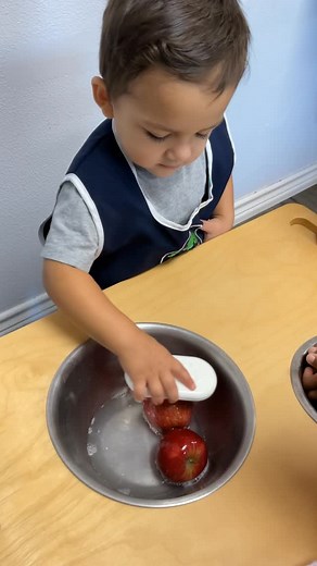 A clean apple. A shiny leaf. A child at work. Learning through doing — and finding joy in the care of simple things. 🌱 #EdQuisitiveMontessori #CuriosityIsTheCurriculum #MontessoriMagic #MontessoriPreschool #MontessoriMoments #PracticalLife #MontessoriLife #HandsOnLearning #EarlyLearning #MontessoriEducation #MontessoriAtHome #satx #boernetx #sanantonio #stoneoaksanantonio | Edquisitive Montessori