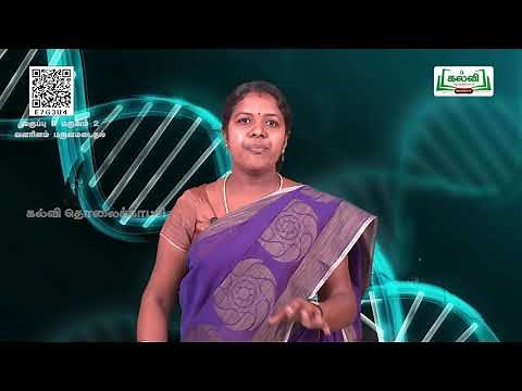 Class 8 | வகுப்பு 8 | அறிவியல் | உயிரியல் | Science| வளரிளம் பருவமடைதல் |அலகு20 |பகுதி1| KalviTv