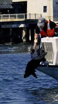 Crack open a cold one at #montereybayaquarium