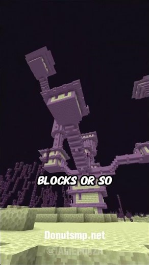 Can you find an elytra on donut SMP #donutsmp #minecraft #gaming