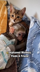 1.4M views · 37K reactions | A one-of-a-kind bond! | Sassy | Facebook