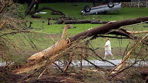 TreeFolks is planting 1 million trees in Austin to combat climate crisis