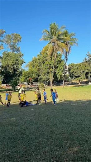 Se cayeron solos #futbol