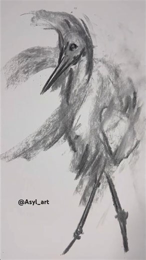 How to draw a bird? Speed scetch #speeddrawing #arttutorial #birds #howtodraw #pencilsketch #art