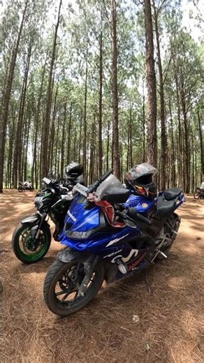 The Best Motorcycles for Every Type of Rider