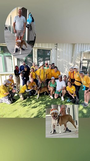 210 reactions · 27 shares | Another milestone day at #CollierDAS as...