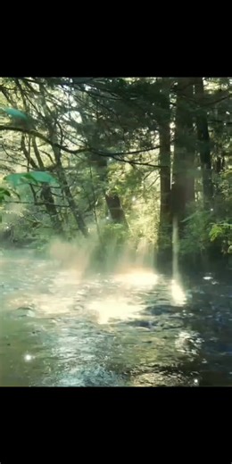 In Truth, Affection Is Not Enough..� #fyp #reelsfyp #reelsfypシ #reelsfbpro #funny #lucu #ketawa | Vince Jerry Ibrahim