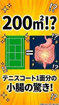 体の中にテニスコート1面分!? 小腸の表面積200㎡の秘密