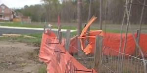 Holland Swamp in Virginia Beach could be called home for 32 houses