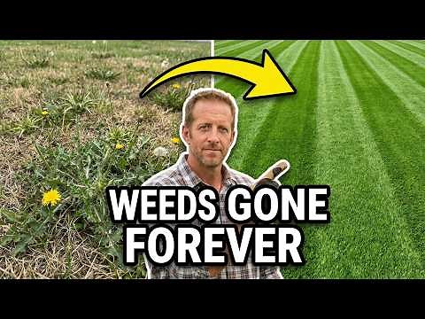 Permanently Eliminate Weeds Without Breaking the Bank