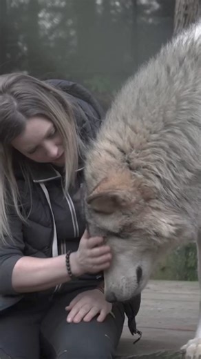 I pray for peace for myself, my staff, and above all, the animals. My hope is that our non-profit organization, dedicated to rescuing and aiding animals, won't be overshadowed by wealth. It is disheartening to see resources being drained from our non-profit engage in legal battles against wealthy neighbors after 22 years, all while focusing on rescue and conservation eduction. To consider helping please click link poplme.co/bwm Our main goal is to persist in our mission of rescue, education, and