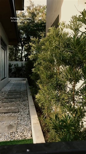 Golden Hour 🪴✨ | Botanic Bloom Design & Landscaping Services