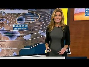 Jen Carfagno - The Weather Channel - 120721 Black and Grey Dress - Easy On The Eyes