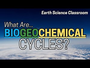 What Are The Different Types Of Biogeochemical Cycles?