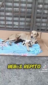 14 reactions · 7 comments | Caso externo Nos reportan Desde JOSE...