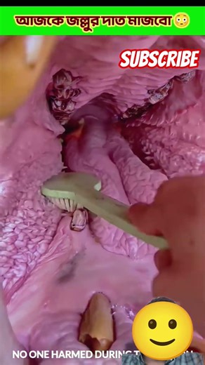 Survival Skills: SIMPLE and USEFUL #bushcraft #camping #outdoor