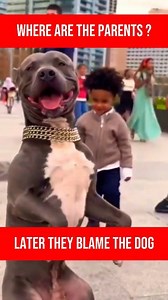 “These words hurt more dogs than anything else: ‘It’s all about how you raise them.’ Yes, environment matters. But pretending genetics don’t exist gets dogs hurt. You can’t obedience-train instincts out of a dog. You can’t socialize away genetics. And you can’t love a dog out of survival mode. Dogs get set up for failure when we label them as ‘great family pets,’ place them in chaotic environments, and then act shocked when genetics show up. Fear isn’t misbehavior. Stress isn’t disobedience. Agg