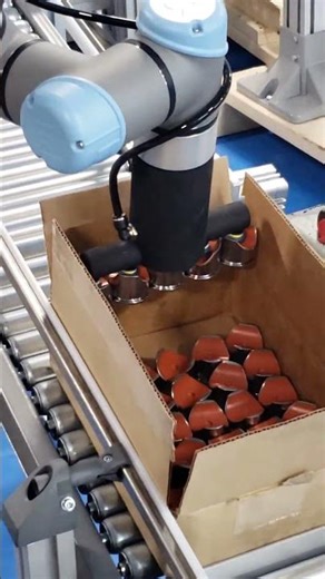 Cobot Automates Multi-Step Process | Dip, Dry, Case Pack