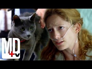 Can This Cat Predict When People Will Die? | House M.D. | MD TV