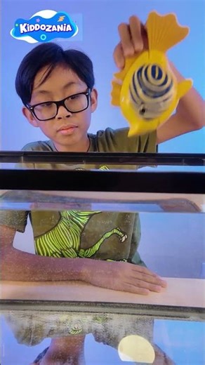 Robot Fish Toy – Emperor Angelfish | Kids Aquarium Toy