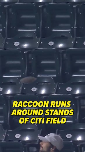 36K views · 131 reactions | It must love those leftover peanuts on the ground | CBS Sports | Facebook