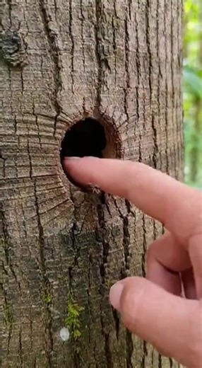 Compassion in Action: Everyday Kindness for Animals