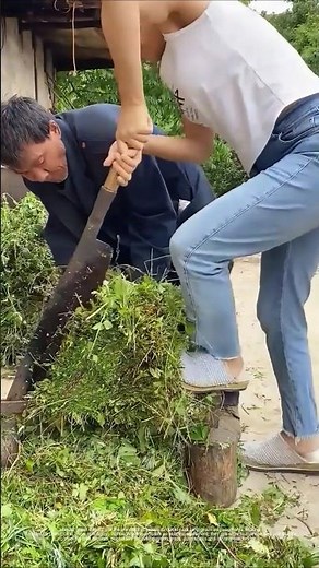 Mowing the grass - good tools and machinery make work more efficient