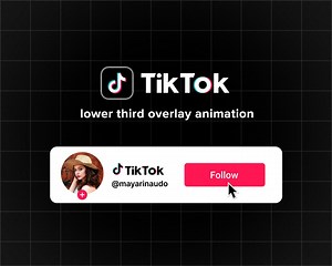 Custom Animated Tiktok Follow Button Overlay for Intro Videos - Etsy