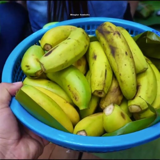 Epic Mondulkiri Trip Trailer – Nature, Culture & Adventure!