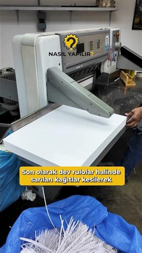 How Is Paper Made? 📄 A Journey from Tree to Notebook! #shorts
