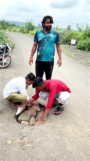 Power of teamwork story #shorts #teamwork #viralvideo