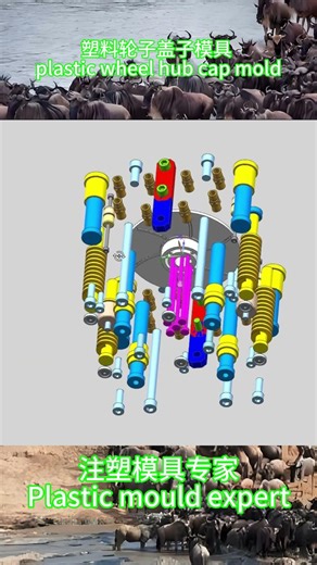 塑料轮子盖子模具 plastic wheel hub cap mold