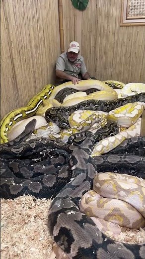 I’m in the Pit now 🐍 🐍