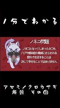 1分でわかるアマミノクロウサギ解説！その③#アマミノクロウサギ #天稔紅兵