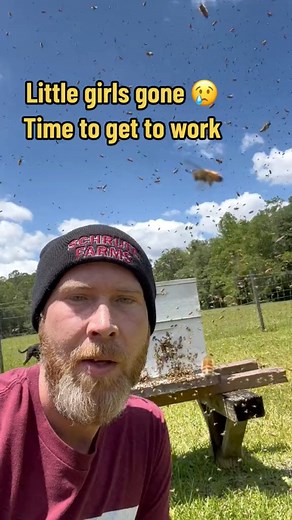 Honey bee swarm. #bees #savethebees #honeybees #nature #farmlife #beekeeping | James Weston