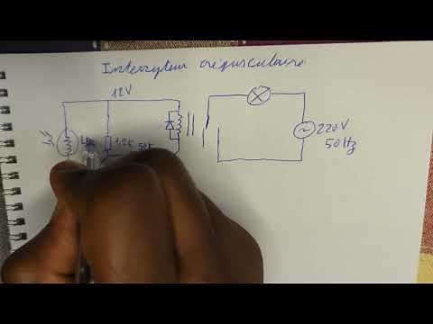Comment Réaliser un Interrupteur Crépusculaire avec Transistors et Relais | DIY Simple et Efficace