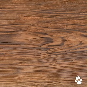 27K views · 66 reactions | Devouring s'mores, meeting characters, or enjoying our water park, what's your favorite experience at Great Wolf Lodge? | Great Wolf Lodge | Facebook