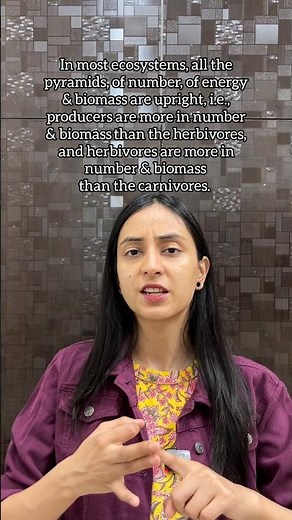 Inverted Pyramids of Numbers & Biomass | Ecosystem #shorts #shortsvideo #neet #class12 #study